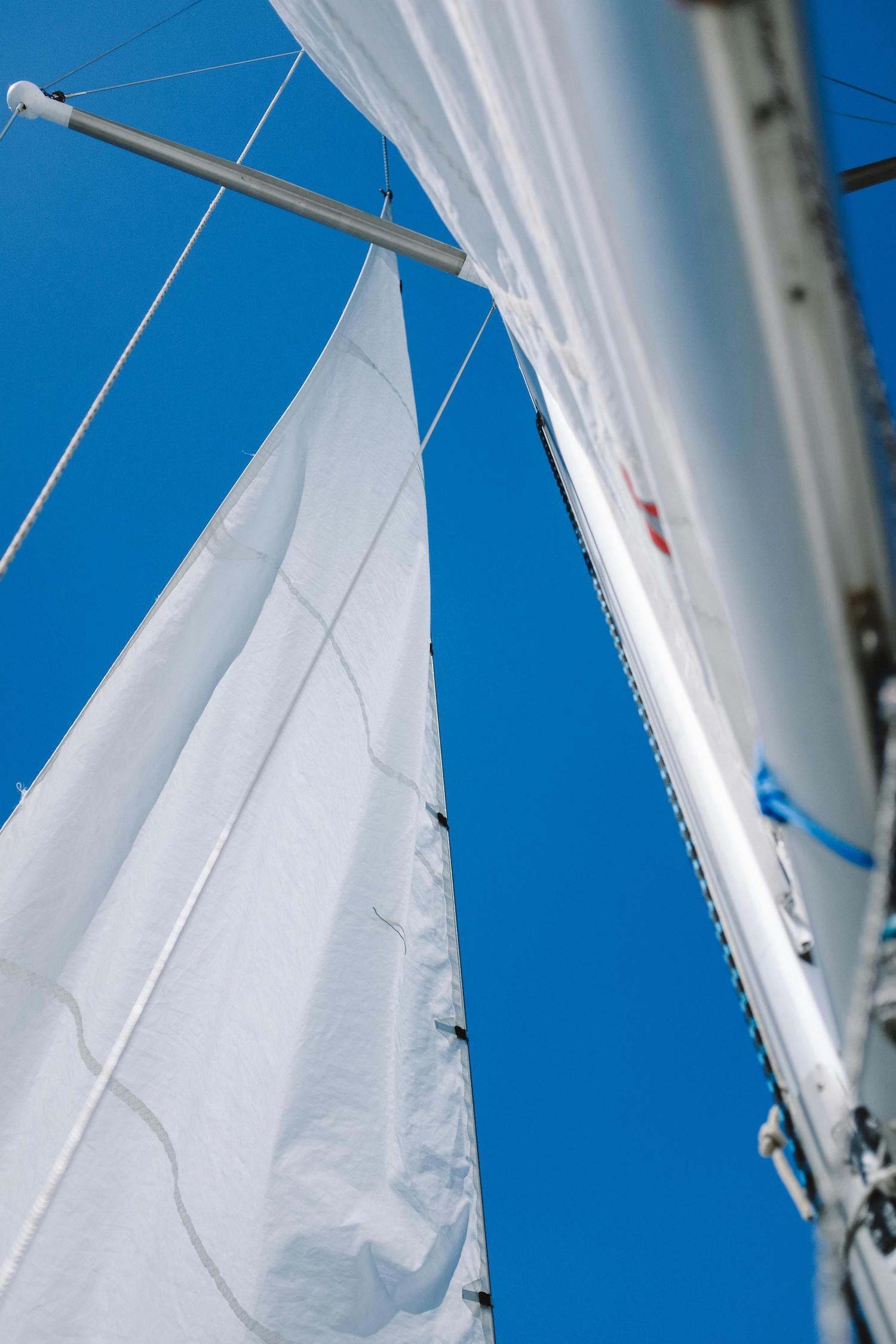 Family & House Manager