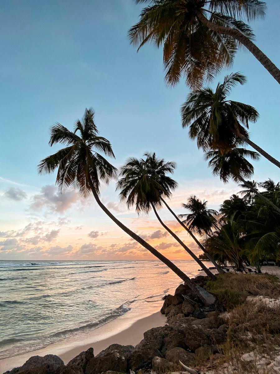 Live-in Nanny with Travel