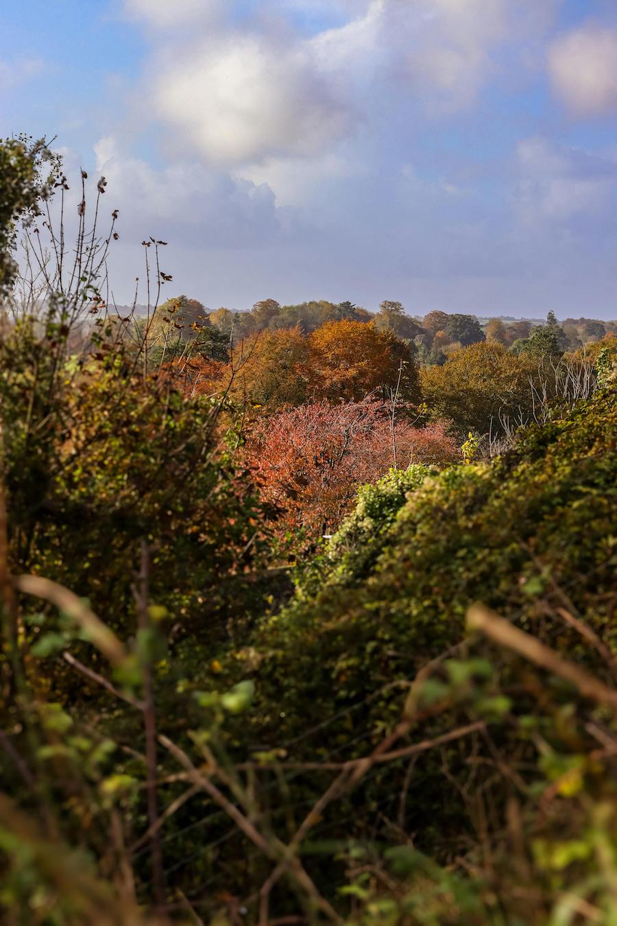 Part-time Housekeeper