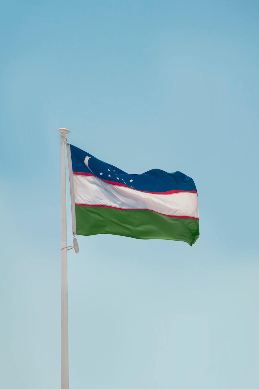 Travelling Butler for Male Principal